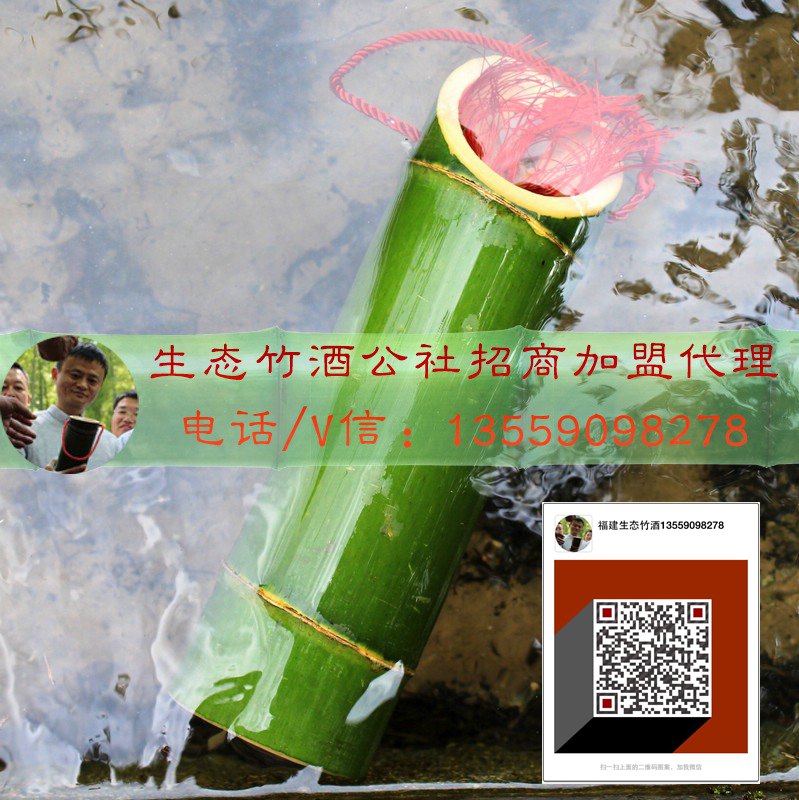 臨沂竹筒酒 招商加盟