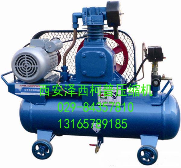 西安全無油空壓機(jī) 西安活塞式全無油空壓機(jī)ZW-0.05/7系列