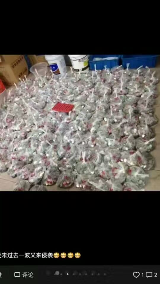 投幣洗衣機(jī) 全自動投幣洗衣機(jī)