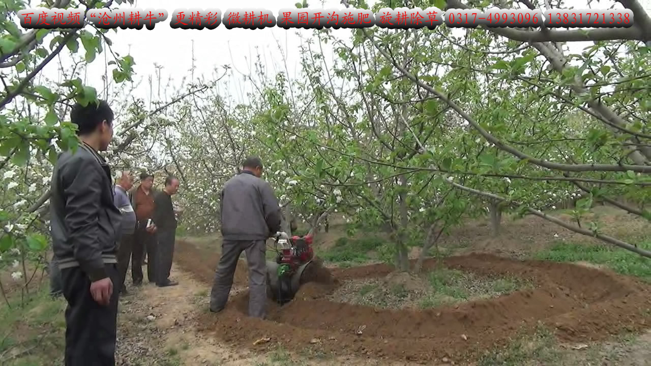 果園開溝施肥 回填