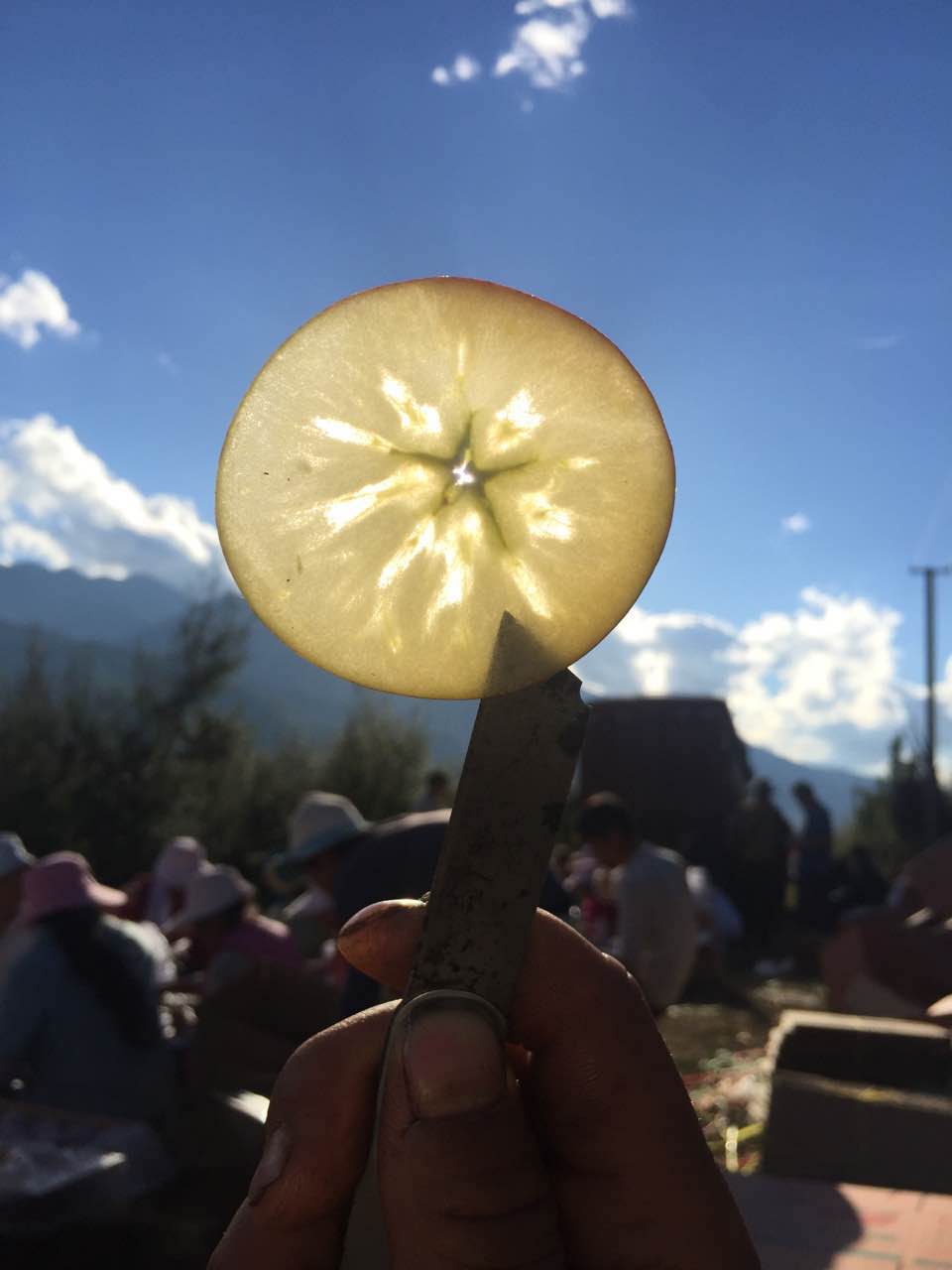 大涼山鹽源蘋果丑蘋果富士