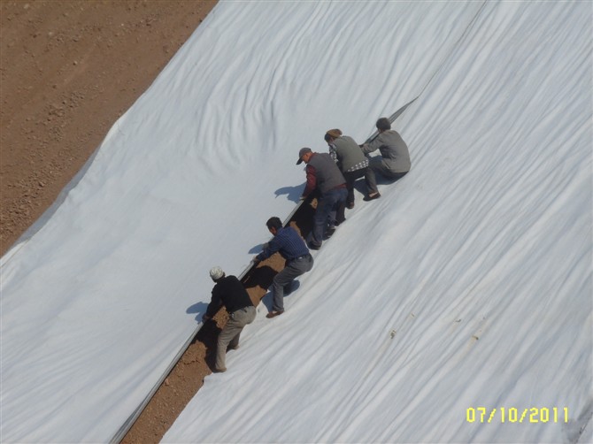阜陽藕池防滲膜價格，阜陽淺水藕種植，阜陽藕池膜價格，阜陽防滲膜廠