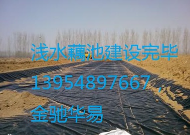 濟南淺水藕種植防滲膜，淺水藕防滲膜，防滲膜價格，藕池防滲膜