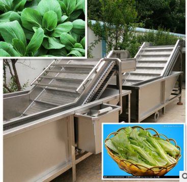 蔬菜清洗機 匯海機械制造蔬菜水果清洗機價格圖片廠家熱銷中