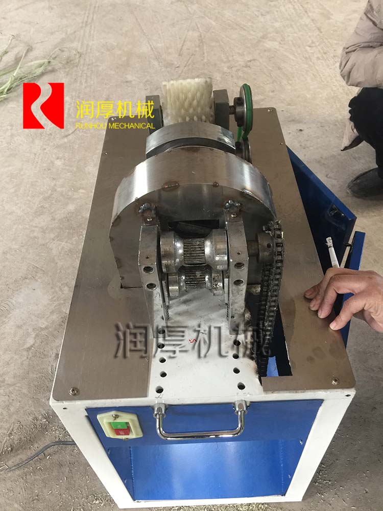 甘蔗去皮機(jī) 小型甘蔗去皮機(jī) 全自動甘蔗剝皮機(jī) 甘蔗削皮機(jī)直銷廠家