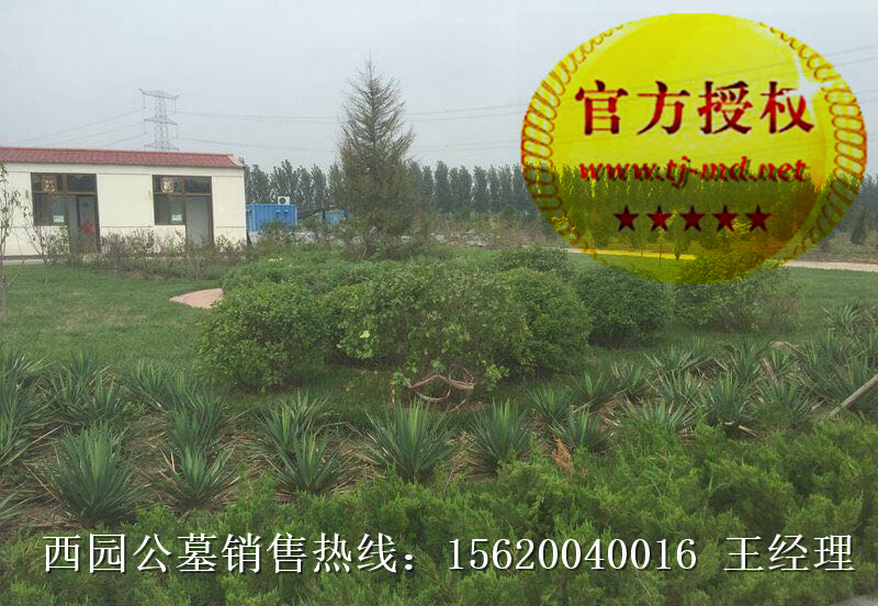 西園公墓在哪 天津市西園公墓 西園公墓價(jià)格 霸州西園公墓 西園公墓怎么樣
