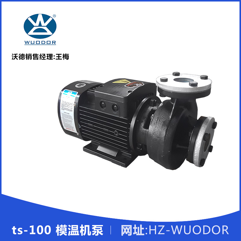 ts-100 模溫機泵 高溫油泵 熱油循環(huán)泵 高溫高壓模溫機水泵