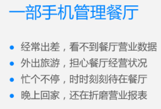 檸檬樹(shù)老板秘書(shū)手機(jī)遠(yuǎn)程查詢(xún)報(bào)表