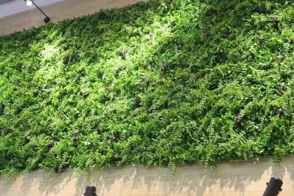 仿真綠植墻定做綠化墻定做仿真草坪綠植裝飾背景墻定做 仿真植物墻仿真綠植墻裝飾