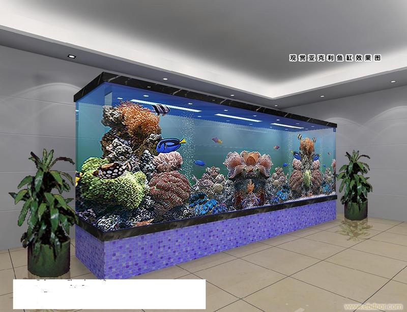 東莞海鮮池制作建造維修等相關(guān)水族工程  移動(dòng)海鮮池