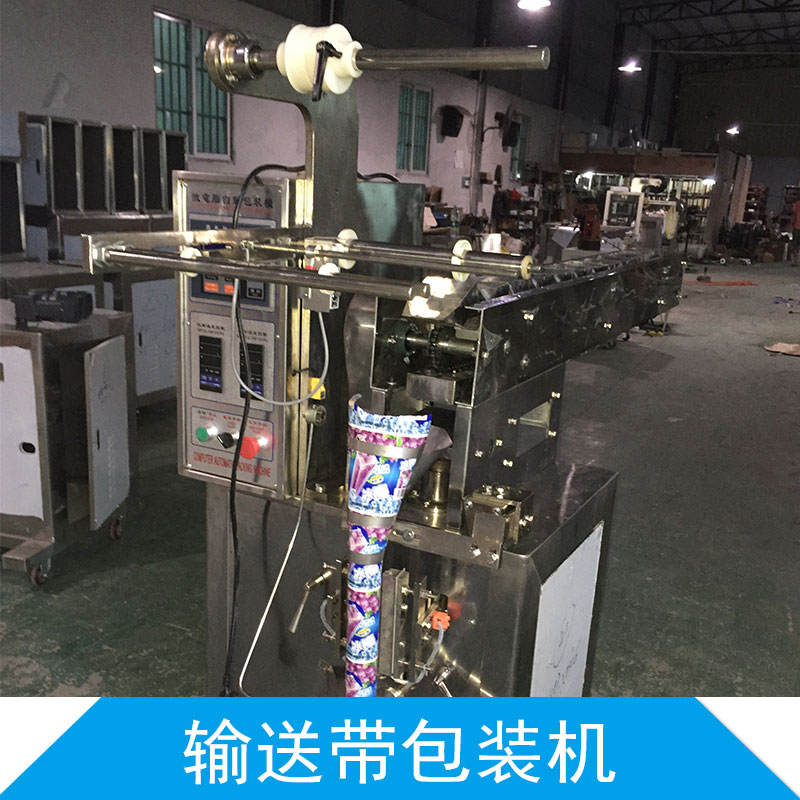 輸送帶包裝機(jī) 輸送帶包裝機(jī)批發(fā) 輸送帶包裝機(jī)直銷 輸送帶包裝機(jī)價格
