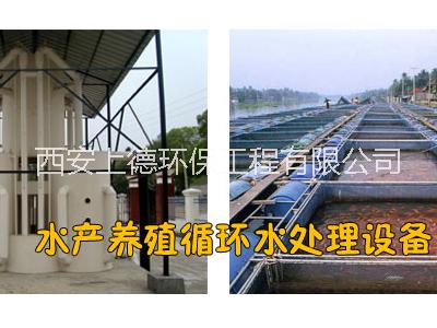福建福州水產(chǎn)養(yǎng)殖循環(huán)水設(shè)備|循環(huán)水養(yǎng)殖設(shè)計(jì)方案|水產(chǎn)養(yǎng)殖水處理設(shè)備