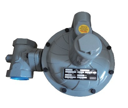 CPEX-30kg香港中邦氣化器50kg液化氣氣化器100kg氣化爐200KG加熱爐