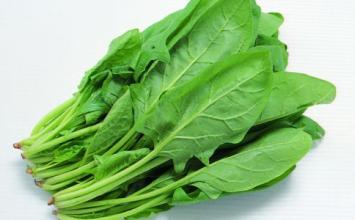 東莞蔬菜配送找惠企膳食公司新鮮蔬菜