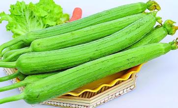 東莞厚街蔬菜配送找東莞惠企膳食公司厚街蔬菜配送