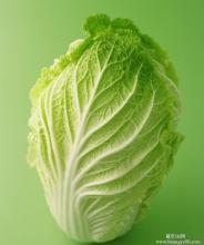 東莞現(xiàn)在化蔬菜糧油配送中心找東莞惠企膳食公司蔬菜糧油配送中心 厚街蔬菜糧油配送中心