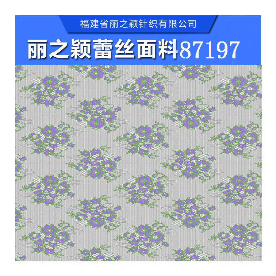 福州*女裝錦綸蕾絲面料廠家，福州*女裝錦綸蕾絲面料報(bào)價(jià)