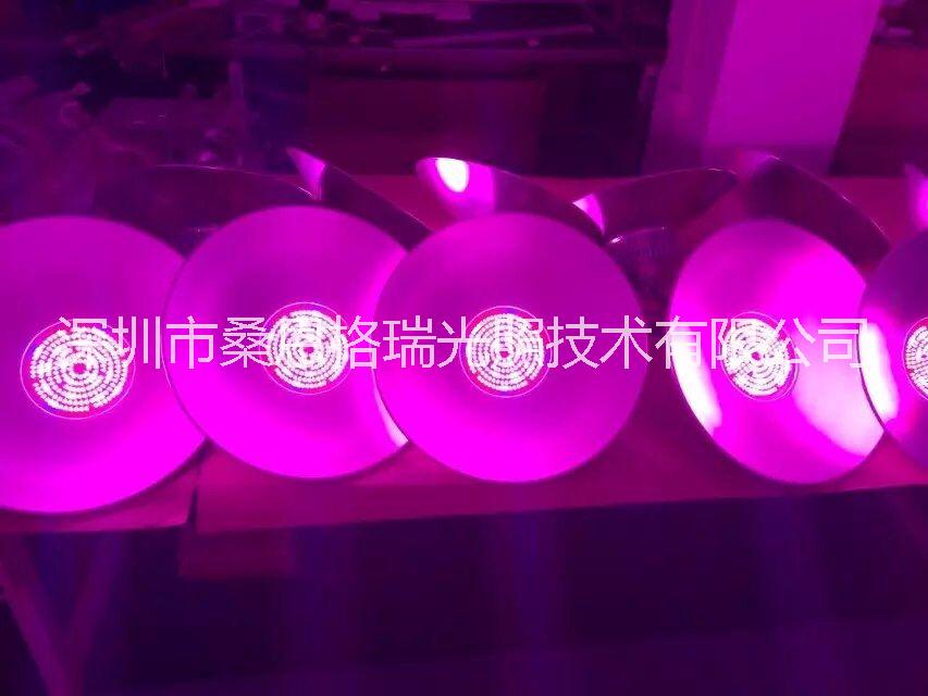 *銷售蔬菜大棚植物生長補光燈 深圳廠家蔬菜大棚植物生長補光燈