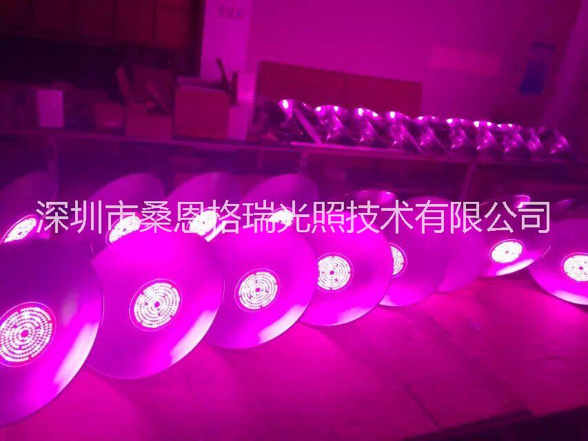 *銷售蔬菜大棚植物生長補光燈 深圳廠家蔬菜大棚植物生長補光燈