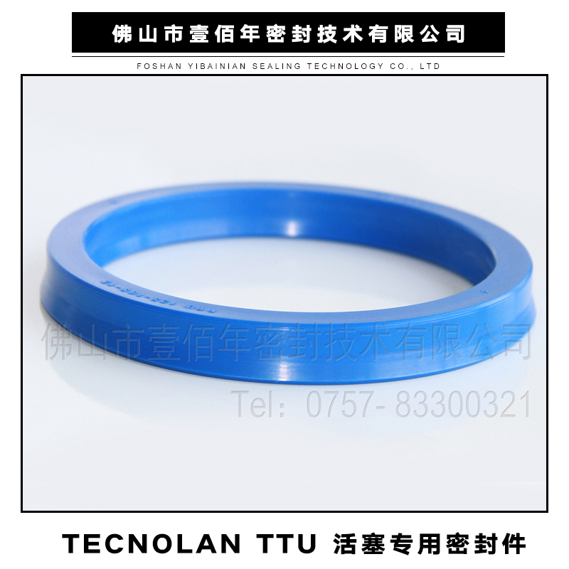TECNOLAN TTU 活塞*密封件 進(jìn)口液路堅(jiān)密封件 機(jī)械密封墊圈