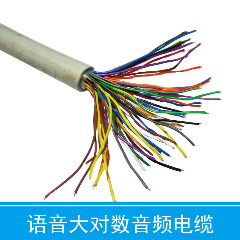 大對(duì)數(shù)通信電纜/HYA大對(duì)數(shù)通訊電纜