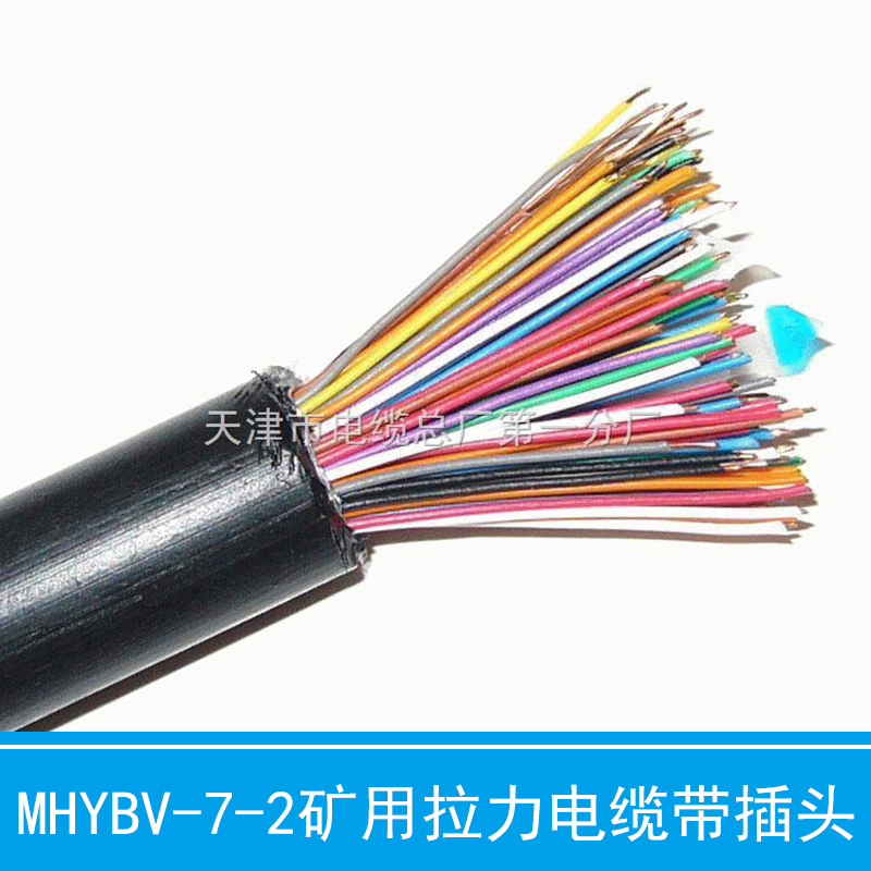 RS485現(xiàn)場(chǎng)總線電纜 RS485現(xiàn)場(chǎng)總線電纜-榮獲*