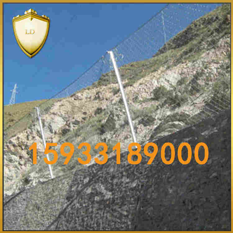 被動(dòng)防護(hù)網(wǎng)廠家*