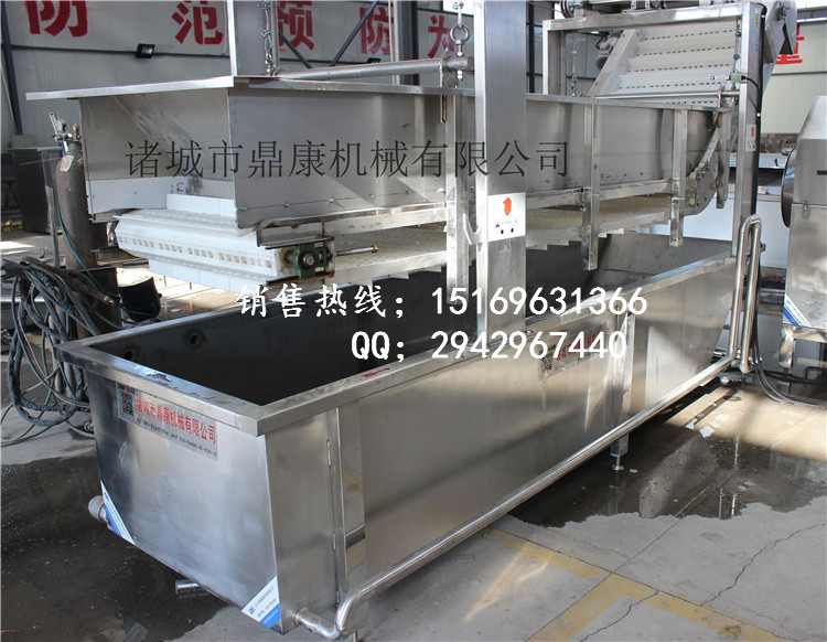 水果蔬菜清洗機(jī)哪種好/性價比優(yōu)勢/氣泡清洗機(jī)/諸城鼎康機(jī)械