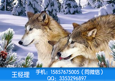 浙江臺(tái)州耐高溫墨水光柵板印花機(jī)供應(yīng)廠家直銷價(jià)格