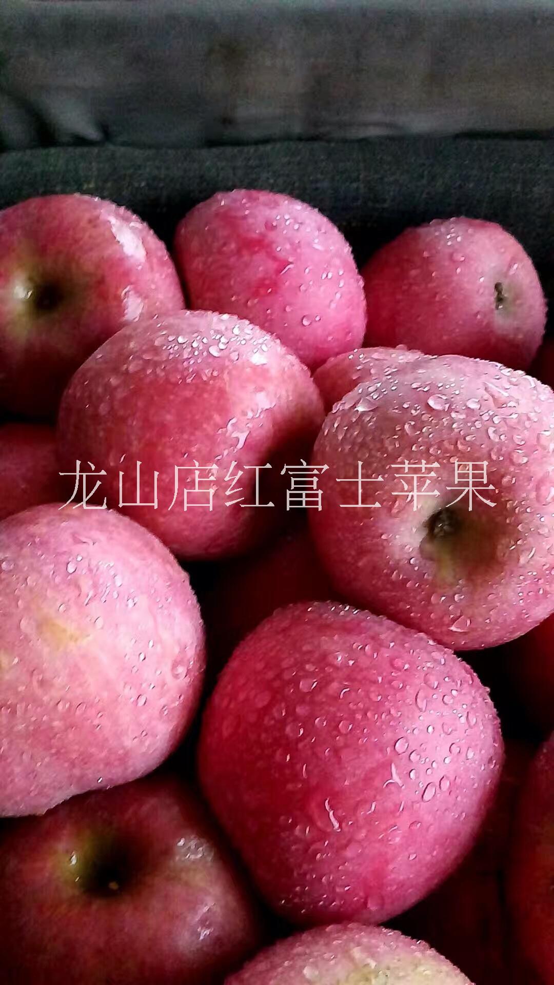 供應煙臺蓬萊蘋果市場