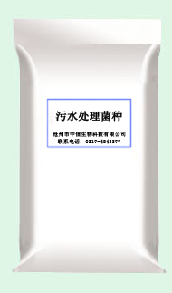 供應(yīng)用于水處理用 污水處理菌種