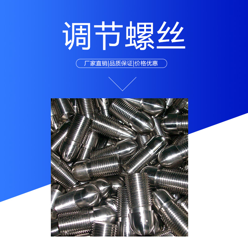 達(dá)爾捷調(diào)節(jié)螺絲定制 不銹鋼發(fā)酵罐水平調(diào)節(jié)地腳螺絲 圓頭調(diào)節(jié)螺栓