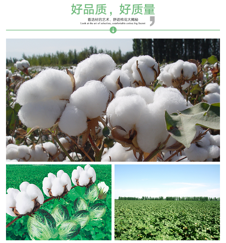 湖南棉被供應(yīng)商、價(jià)格、出售、哪家便宜【孟村回族自治縣千層雪棉絮廠】
