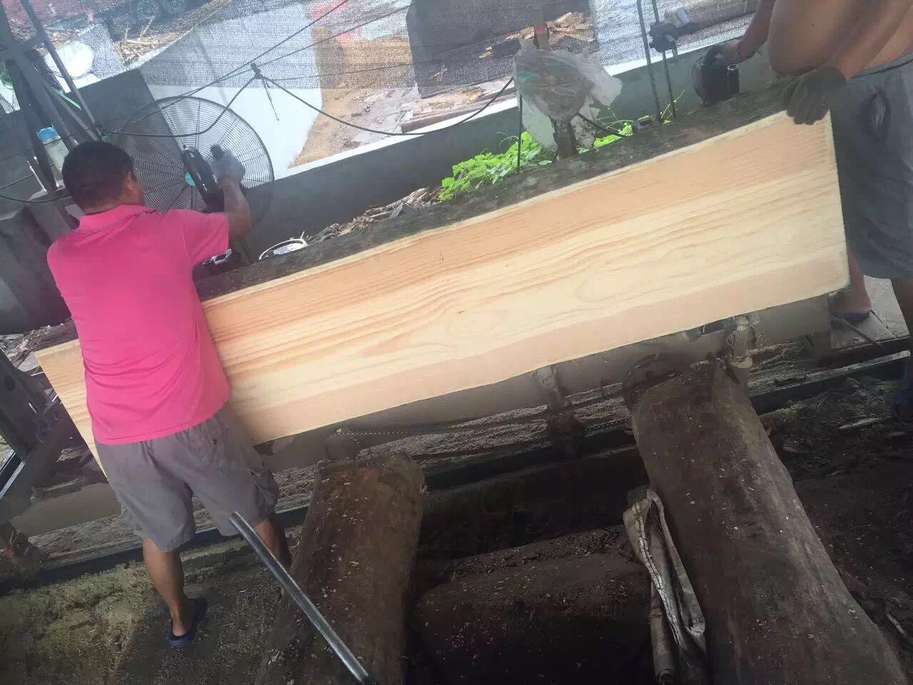 建筑模板 進口方木 一級品質 輻射松板材 輻射松板材廠家 輻射松板材批發(fā) 肇慶廠家定建筑木方模板 進口方木