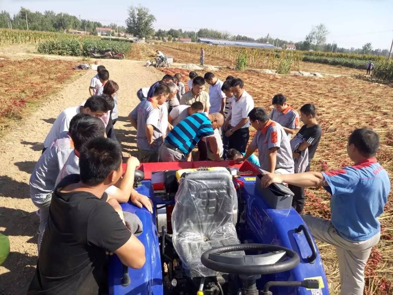 新型大蒜種植機播種機 大蒜播種機