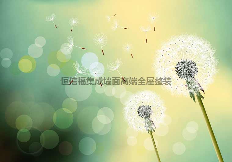 鋅鋼背景墻高清系列抽象風(fēng)格 湖南恒信福集成墻面廠家集成墻面批發(fā)