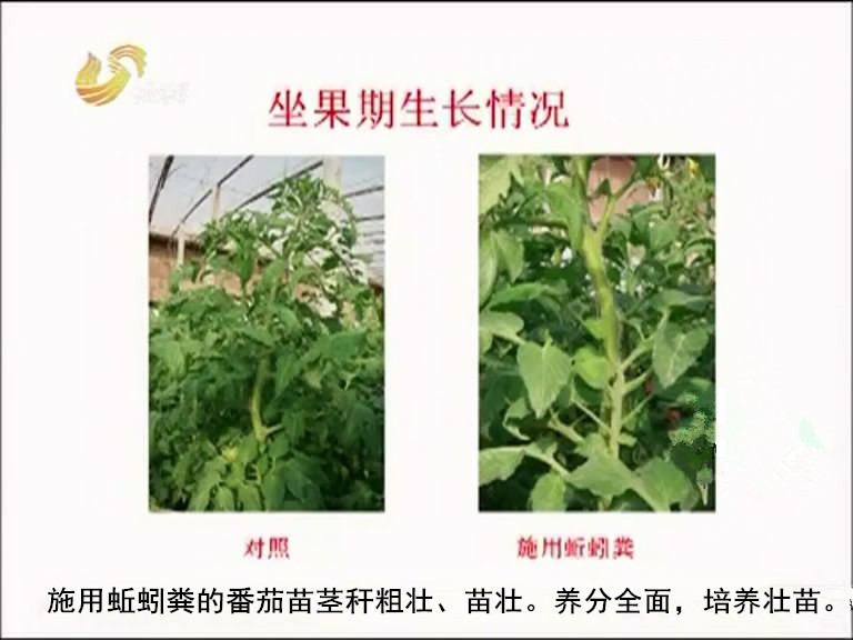 蚯蚓糞 基肥底肥 種花種菜果樹施 增產(chǎn)抗病 瓦力蚯蚓糞生物菌腐殖酸有機肥  山東瓦力優(yōu)質(zhì)純蚯蚓糞