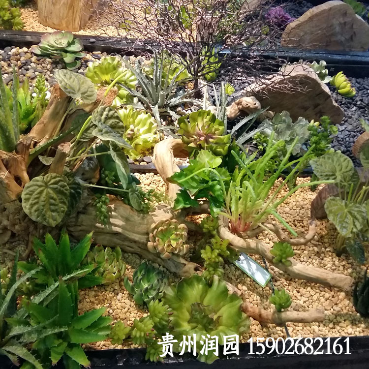 貴陽植物墻公司*出售室內(nèi)綠化裝飾材料，貴州仿真植物屏壁批發(fā)