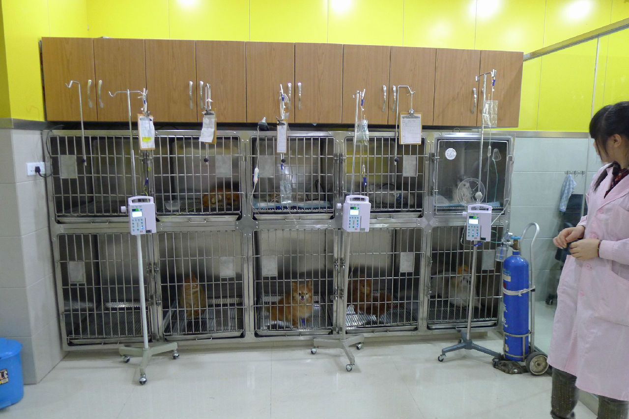 西安養(yǎng)殖場消毒禽畜飼料*處理 泳池蓄水池消毒的具體操作方法