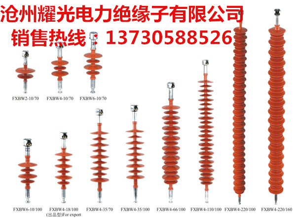 FXBW4-35/100復合絕緣子 FXBW4-35/10復合絕緣子