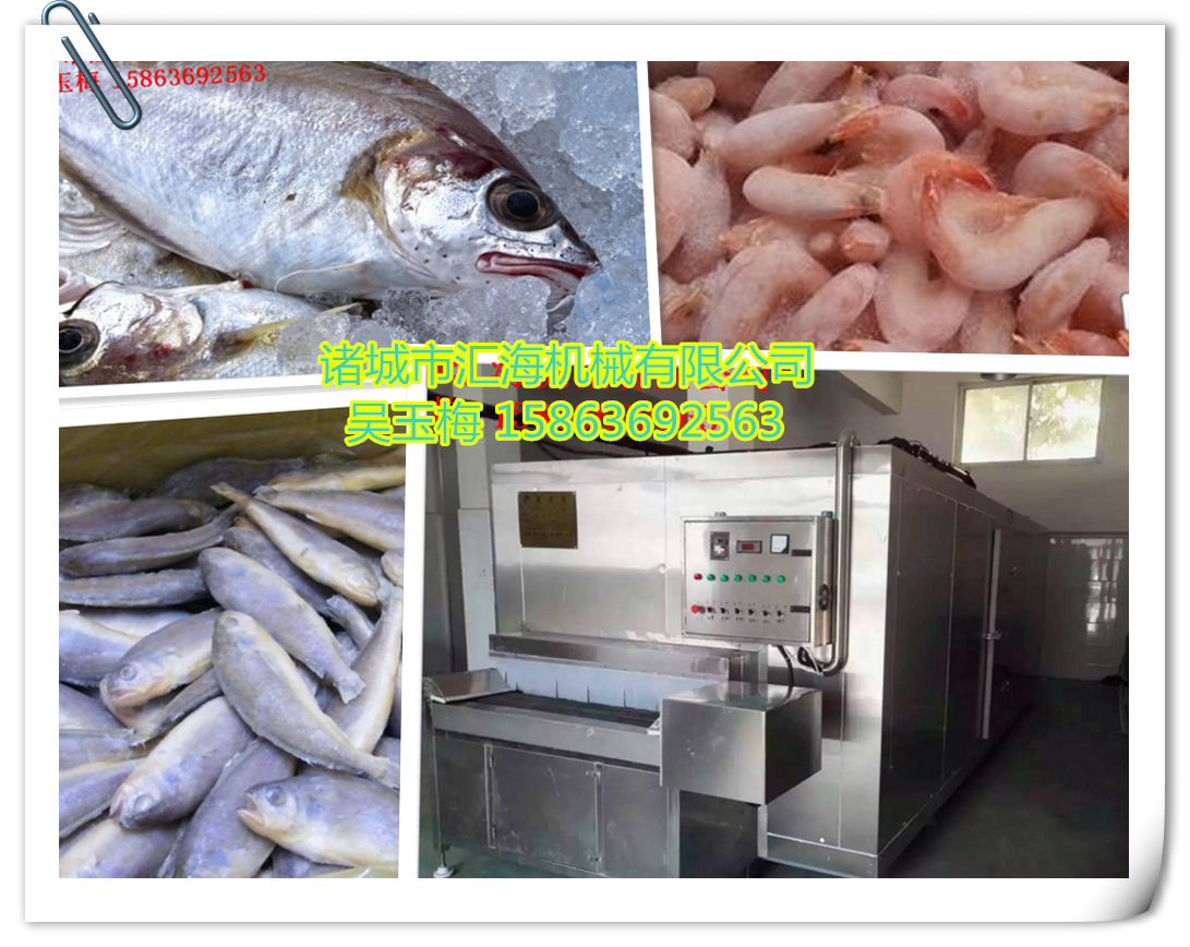 匯海機械WDSX隧道式速凍機 海參速凍機魚類蝦類速凍機 價格圖片廠家