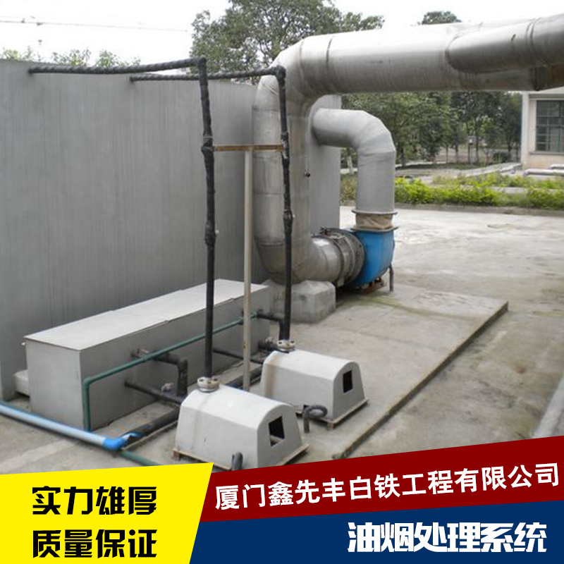 油煙處理系統(tǒng) 廚房不銹鋼油煙處理 環(huán)保排煙設(shè)備 油煙處理系統(tǒng)廠家