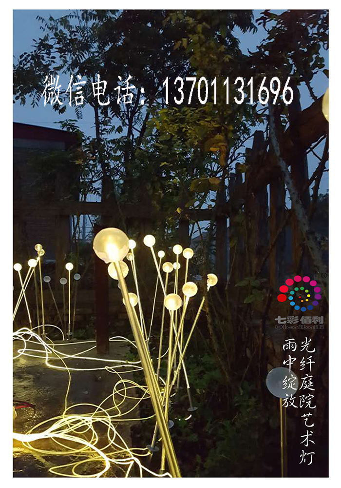 光纖庭院藝術(shù)燈