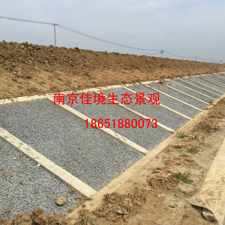 生態(tài)護坡增強劑膠結(jié)劑河道治理植生砼護坡