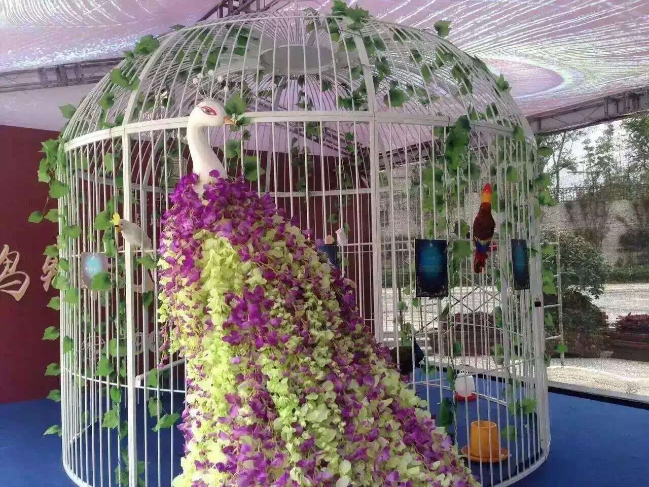 鸚鵡表演百鳥展活動(dòng)策劃布置高端百鳥園廠家