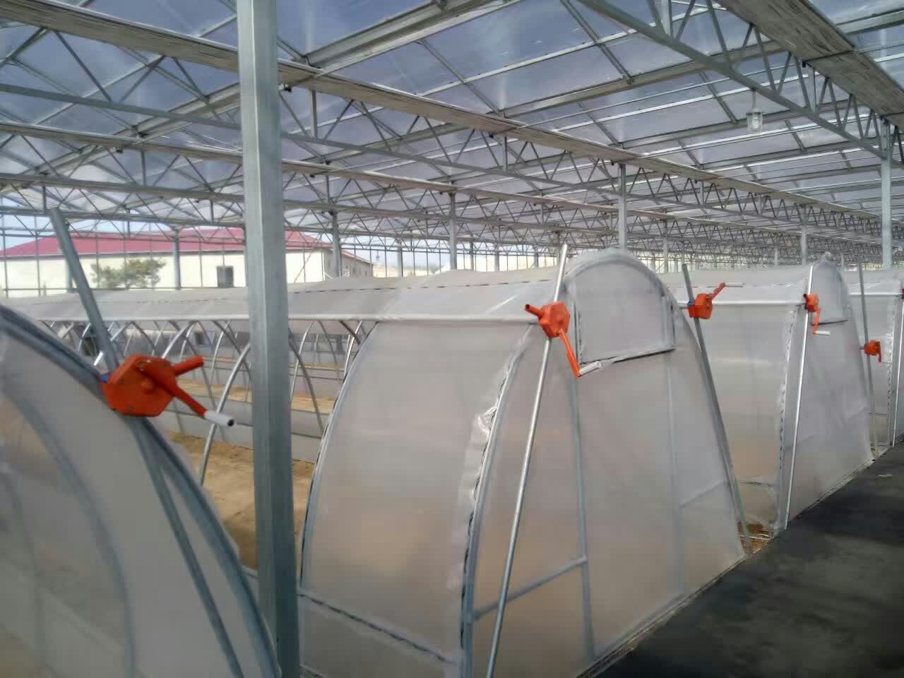 北京延慶大棚建造多少錢一畝，北京延慶大棚建造，北京延慶蔬菜大棚