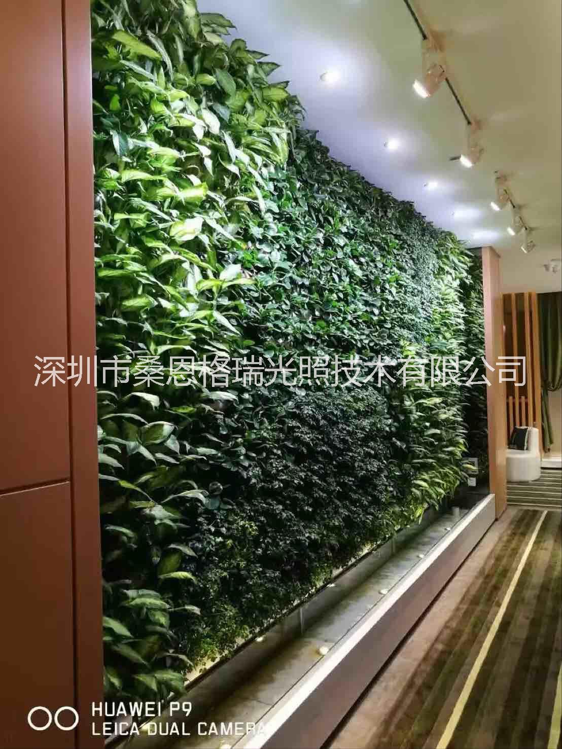 綠墻植物生長補光軌道燈 熱銷 綠墻植物生長補光軌道燈 LED綠墻植物生長補光軌道燈 LED綠墻植物生長補光軌道射燈