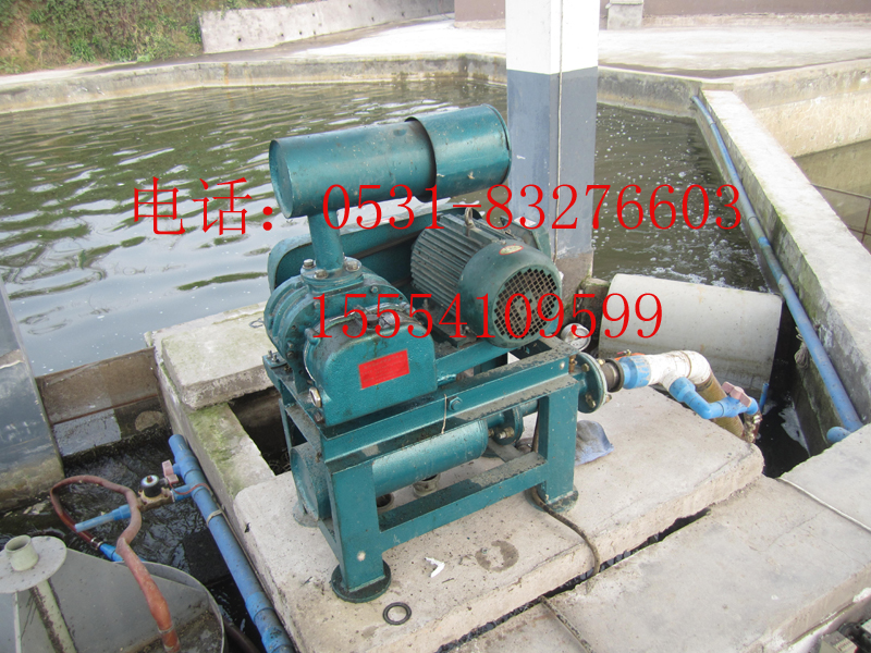 水產(chǎn)養(yǎng)殖魚 蝦 螃蟹 海參納米管曝氣底部增氧用三葉羅茨增氧泵三葉羅茨鼓風(fēng)機