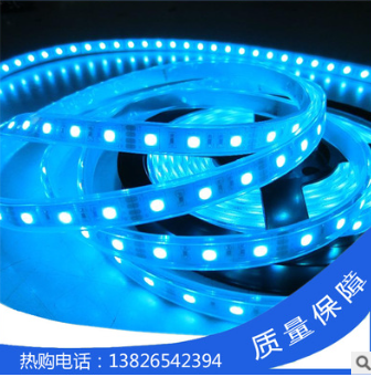 廠家供應(yīng)5050低壓單色光冷白紅光 60燈條防水LED七彩軟燈帶雙面板現(xiàn)貨批發(fā)