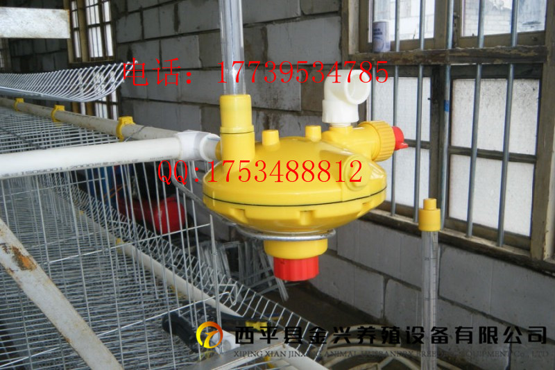 養(yǎng)雞設(shè)備自動撿蛋機 批發(fā)供應雞籠 機械設(shè)備養(yǎng)殖設(shè)備